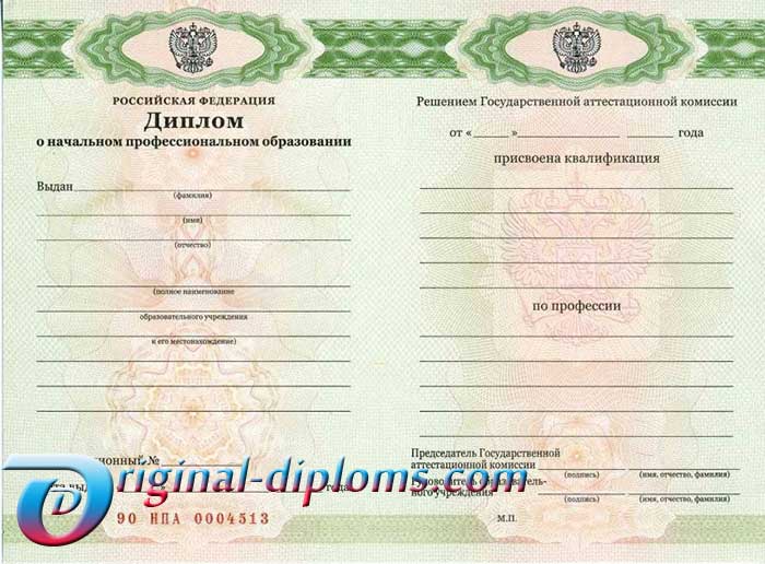 Диплом училища, лицея 2010-2026 год